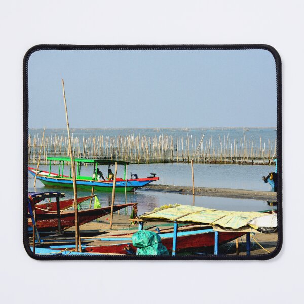 Aperçu de l'œuvre India - Chilika Lake créée et vendue par franck380.