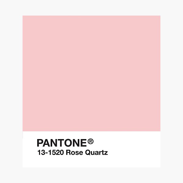 Pantone Series and Tumblr Vibes - Rose Quartz AKA Millennial Pink Photographic Print