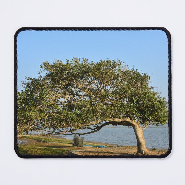 Item preview, India - Chilika Lake designed and sold by franck380.