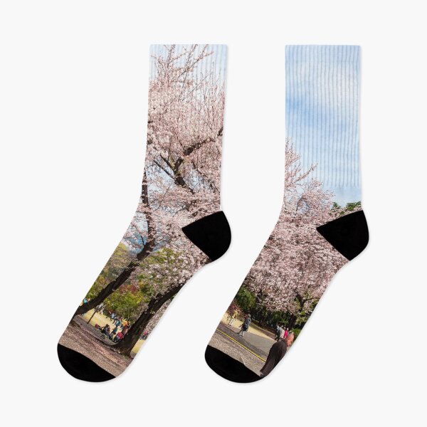 Item preview, Shinjuku Park Tokyo and flowering cherry blossoms  designed and sold by Martin Berry Photography.
