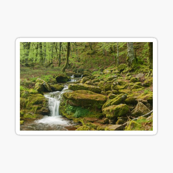 Arroyo / Stream Pegatina
