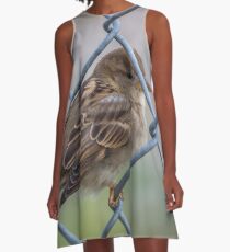 Mei Spatzl - Sparrow | Roosevelt Island, New York A-Line Dress