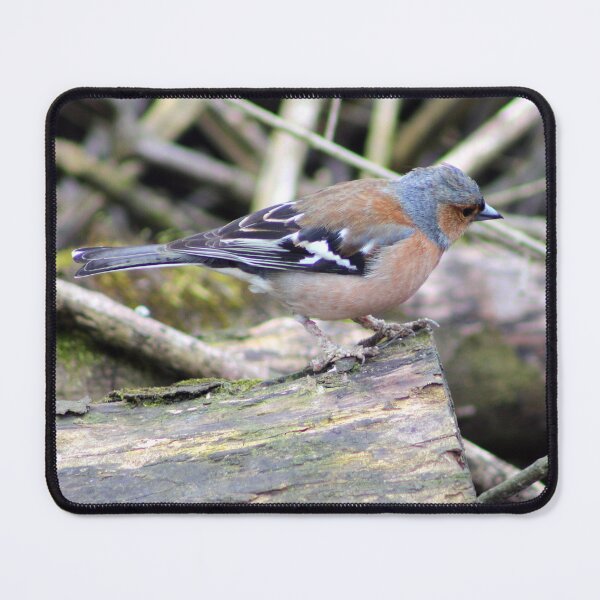 Item preview, chaffinch designed and sold by KathleenDawson.