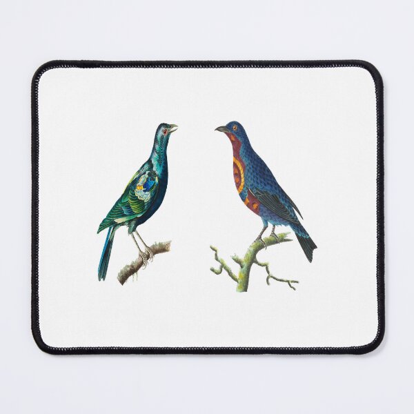 Item preview, Bird Language designed and sold by begaytwannas.
