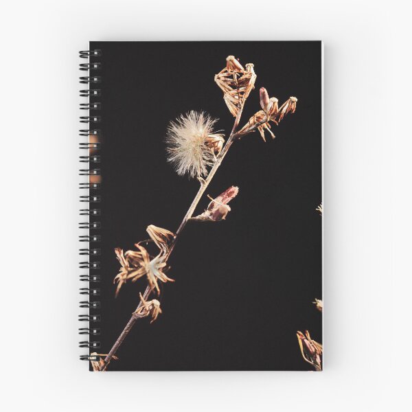 Item preview, More weeds designed and sold by Paul Pasco.