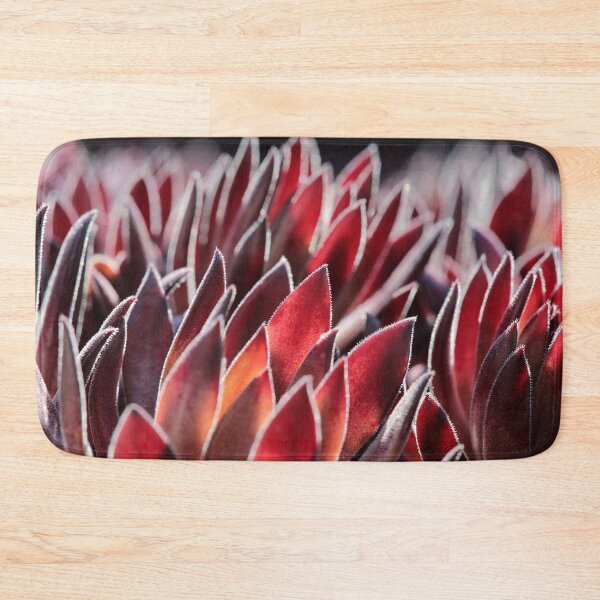 Item preview, Sempervivum leaves in the morning light designed and sold by MaCross.