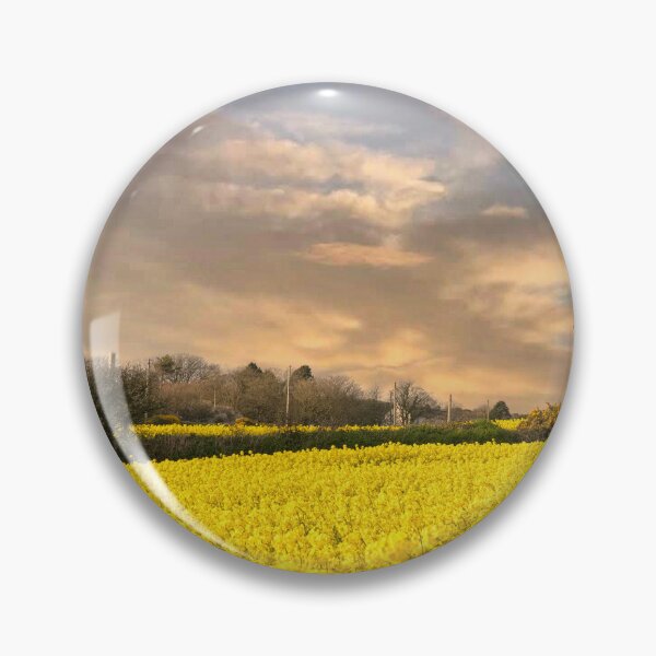 Item preview, Rapeseed sunset ,Cornwall, at sunset designed and sold by kathleenjean.