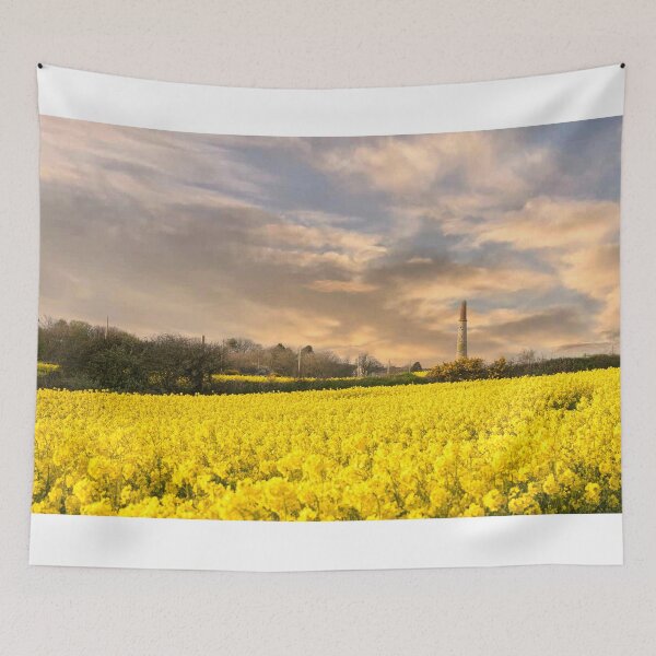 Item preview, Rapeseed sunset ,Cornwall, at sunset designed and sold by kathleenjean.