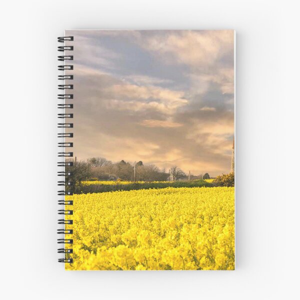 Item preview, Rapeseed sunset ,Cornwall, at sunset designed and sold by kathleenjean.