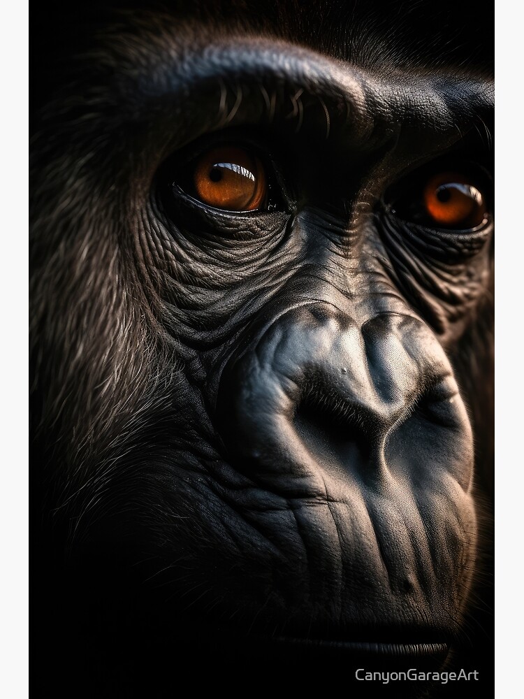 Gorilla Photograph, Color Photography, Nature Photo, Wall Art, Wildlife  Decor, Art Print, Animal Portrait, Primate, gorilla, Close-up 2 