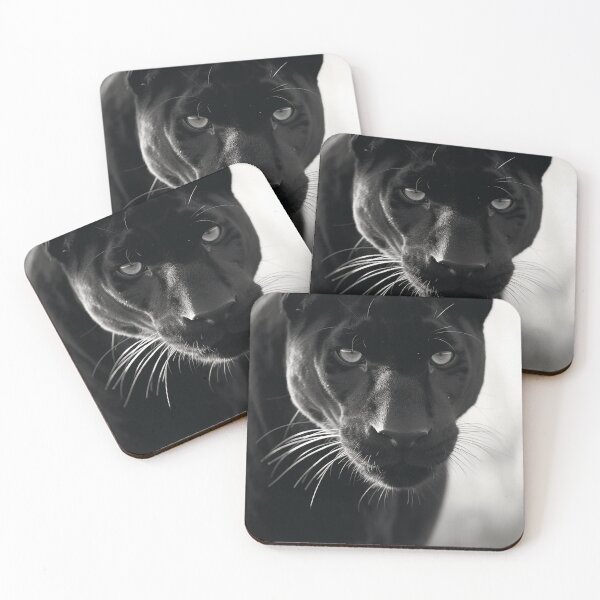 Item preview, Black Panther Portrait Wildlife Black and White Feline BW Photography Close-up designed and sold by Univers Noir et Blanc.