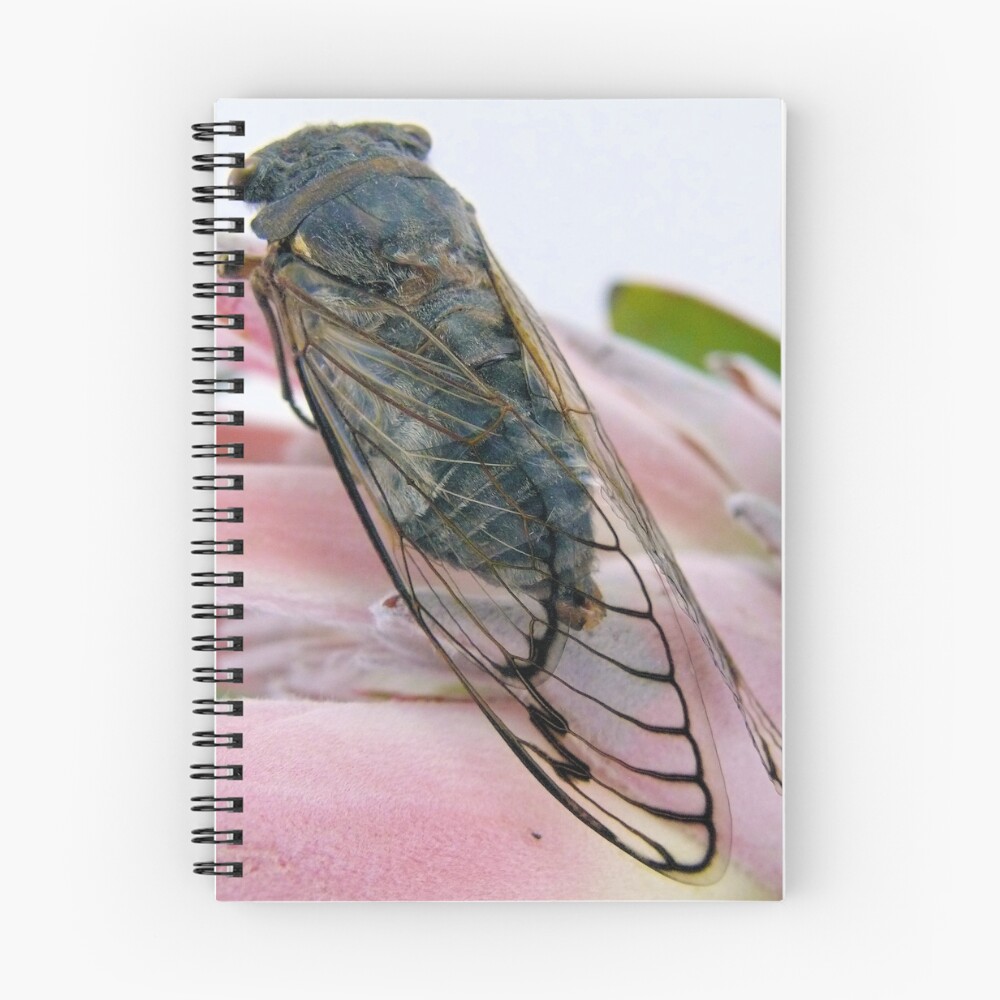 Item preview, Spiral Notebook designed and sold by elsha.