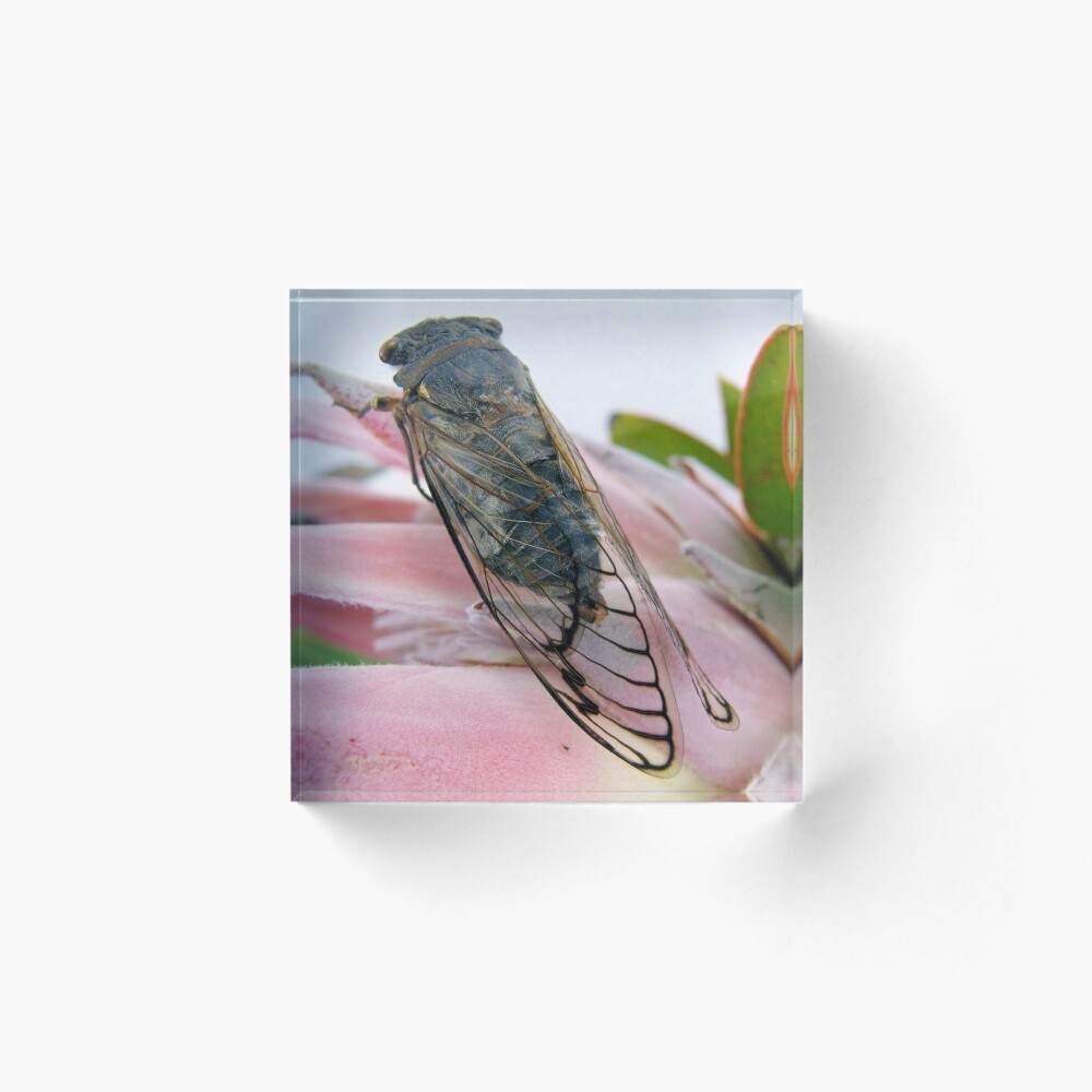 Item preview, Acrylic Block designed and sold by elsha.