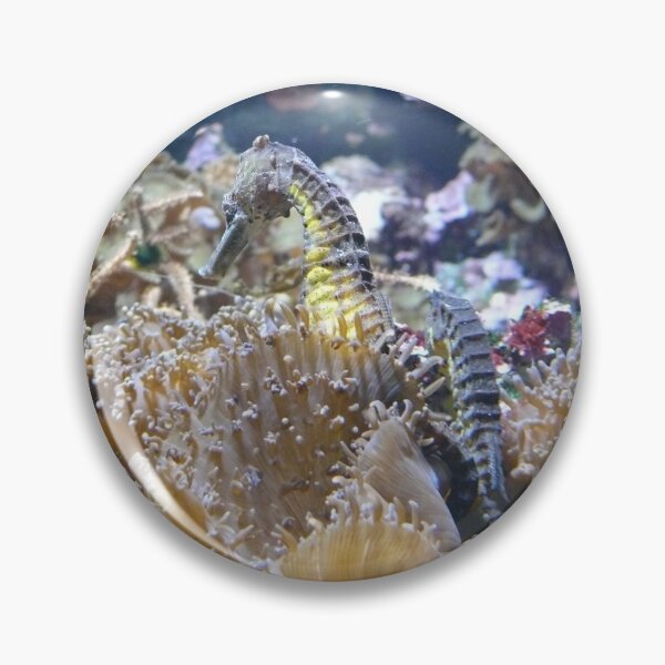 Item preview, Caballo de mar designed and sold by elsha.