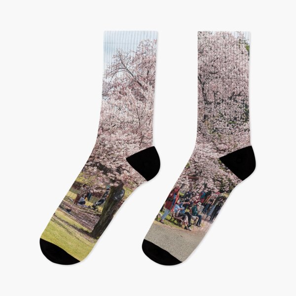 Item preview, Shinjuku Park Tokyo Viewing Cherry Blossom designed and sold by Martin Berry Photography.