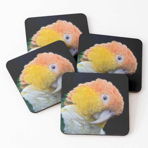 Item preview, Am I irresistable or what? designed and sold by Krys Bailey.
