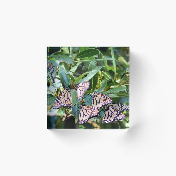 Artikelvorschau, The Beauty of Nature entworfen und verkauft von elsha.