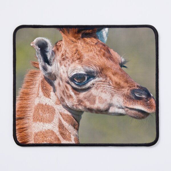 Item preview, Ruby designed and sold by Krys Bailey.