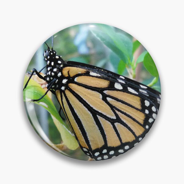Item preview, I didn't know butterflies have 'toes' designed and sold by elsha.