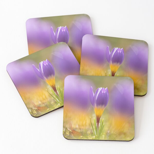 Artikelvorschau, lila krokusse, frühling, blumen, frühlingsblumen, lila, gelb, grün, aufkleber, uhr, schön, originell, natur, natürlich, krokusse auf dem gras entworfen und verkauft von Elżbieta  Kaps.