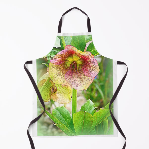 Item preview, Helleborus niger designed and sold by angel1.