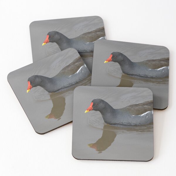 Item preview, Moorhen designed and sold by LaurenTucker.