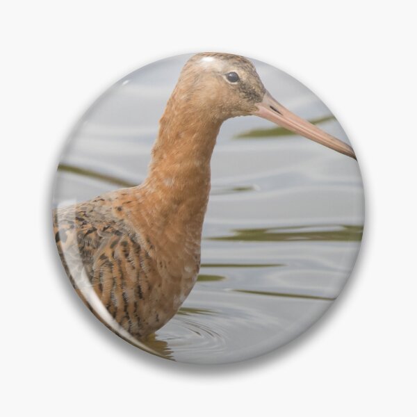 Item preview, Black Tailed Godwit designed and sold by LaurenTucker.