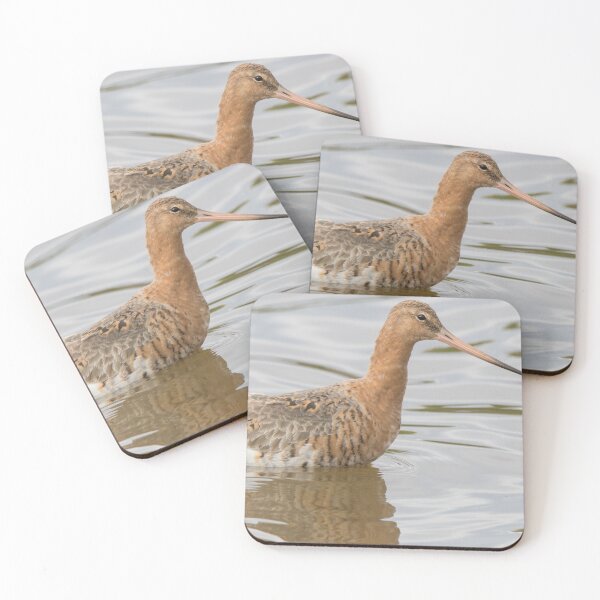 Item preview, Black Tailed Godwit designed and sold by LaurenTucker.