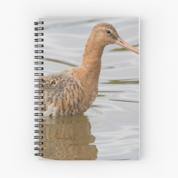 Item preview, Black Tailed Godwit designed and sold by LaurenTucker.