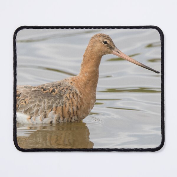 Item preview, Black Tailed Godwit designed and sold by LaurenTucker.