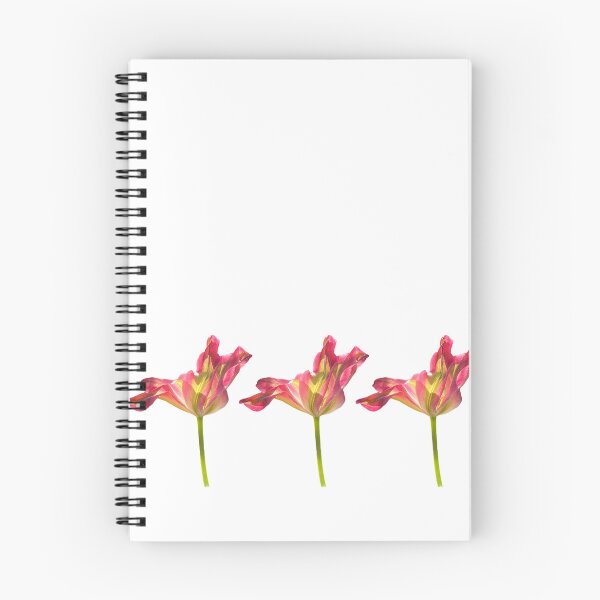 Item preview, 3 tulips designed and sold by Binas-gallery.