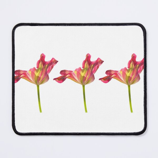 Item preview, 3 tulips designed and sold by Binas-gallery.
