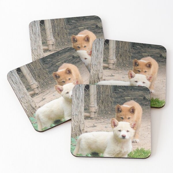 Item preview, What you doin? huh tell me What you doin?? Curious Alpine Dingo Pups designed and sold by elsha.