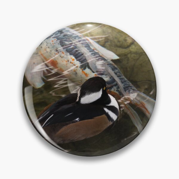 Item preview, Close Encounter - Hooded Merganser Duck and Koi Fish designed and sold by Georgia Mizuleva.