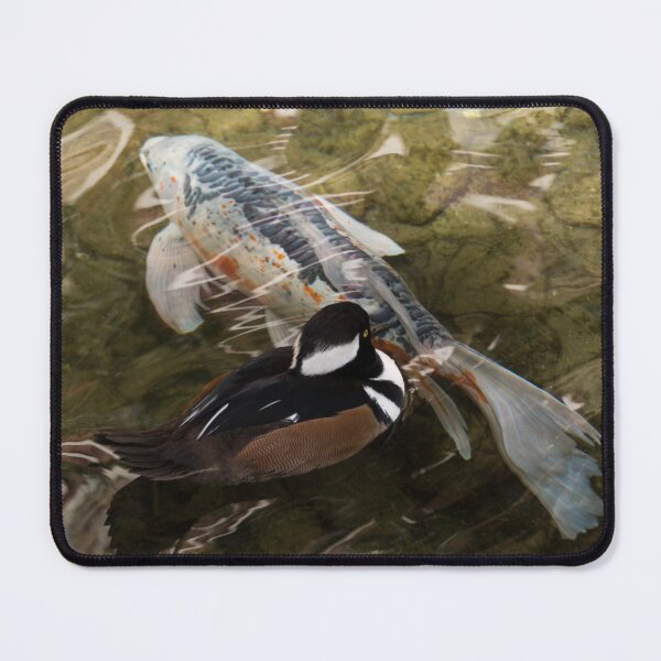 Item preview, Close Encounter - Hooded Merganser Duck and Koi Fish designed and sold by Georgia Mizuleva.