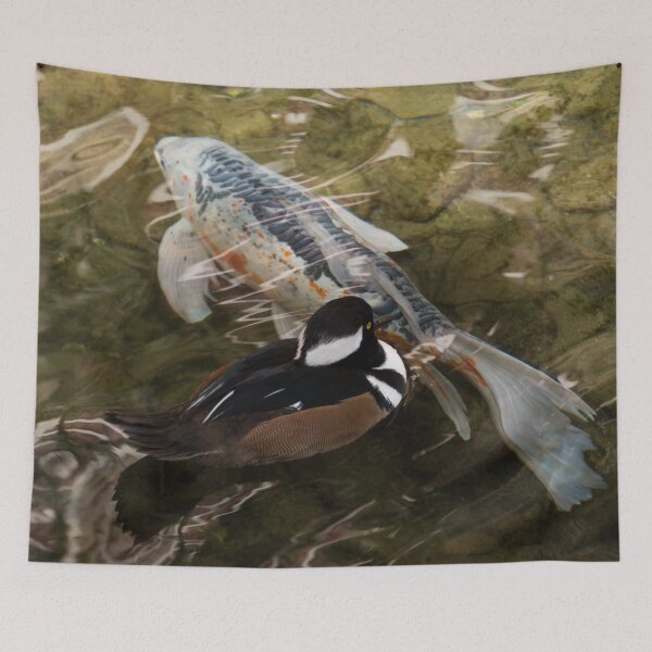 Item preview, Close Encounter - Hooded Merganser Duck and Koi Fish designed and sold by Georgia Mizuleva.
