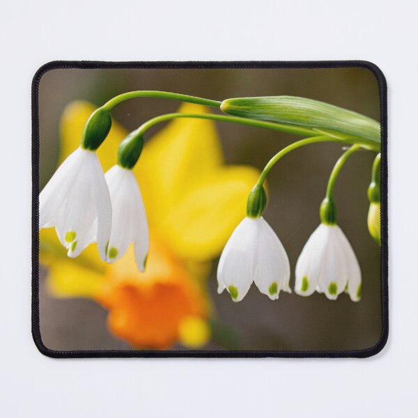 Item preview, Snowdrops and Spring  designed and sold by John Lines.