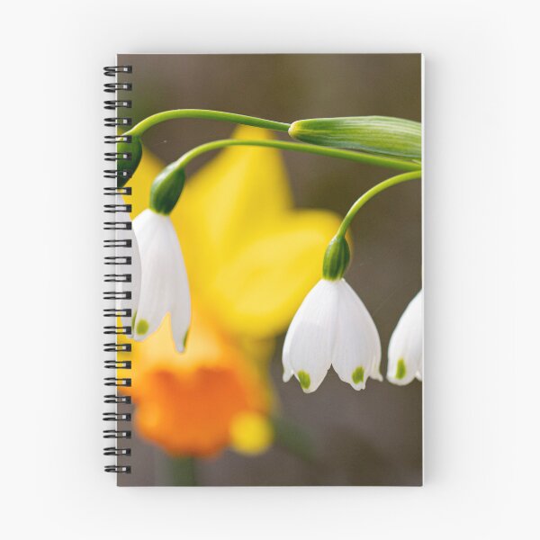 Item preview, Snowdrops and Spring  designed and sold by John Lines.