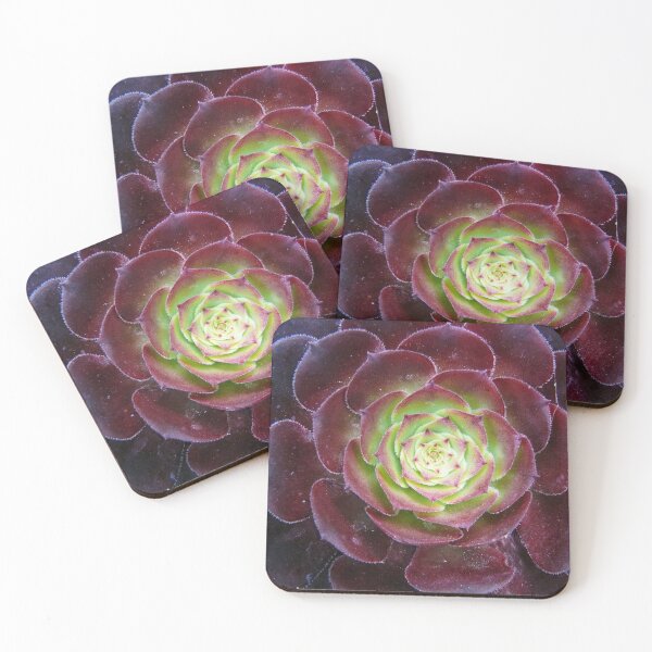 Item preview, Patterns in Nature designed and sold by elsha.