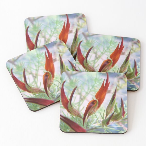 Item preview, Lotus bertholetii  (Parrot's beak Lotus) designed and sold by elsha.