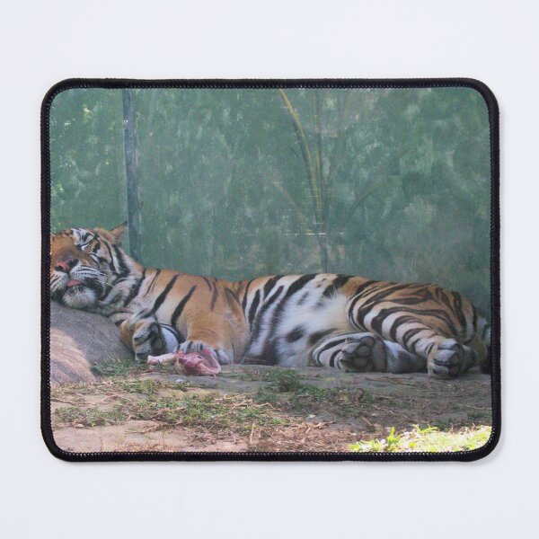 Item preview, So Full........Must Sleep designed and sold by elsha.