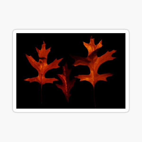 Item preview, Autumn Leaves designed and sold by Geoff Treagus.