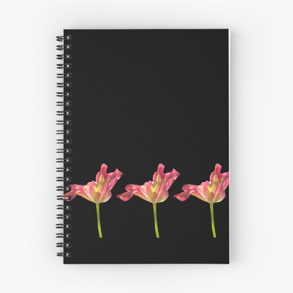Item preview, 3 tulips with black background designed and sold by Binas-gallery.