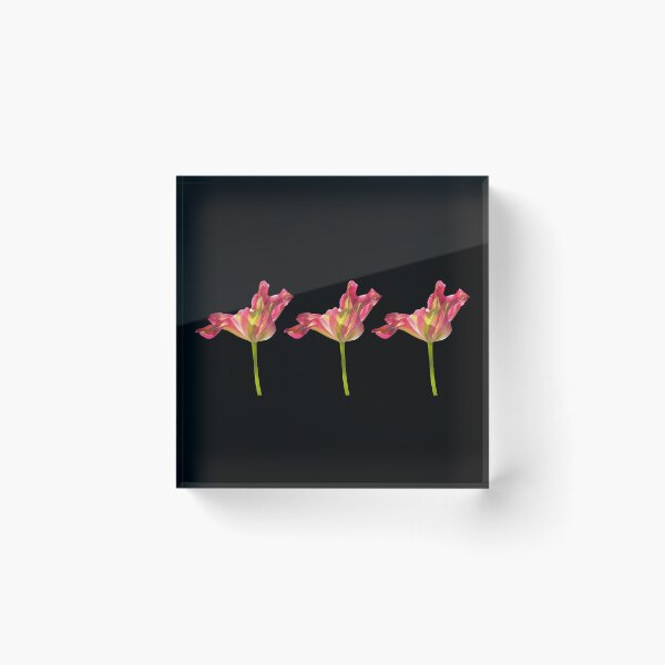 Item preview, 3 tulips with black background designed and sold by Binas-gallery.