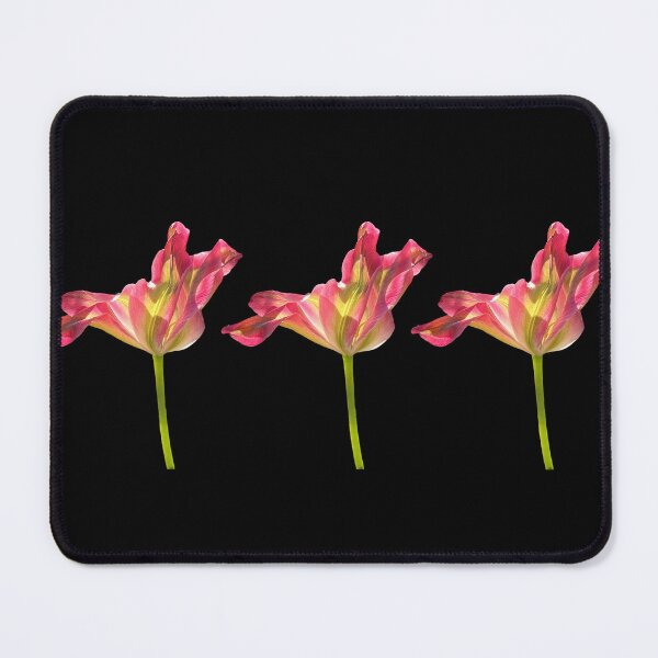 Item preview, 3 tulips with black background designed and sold by Binas-gallery.