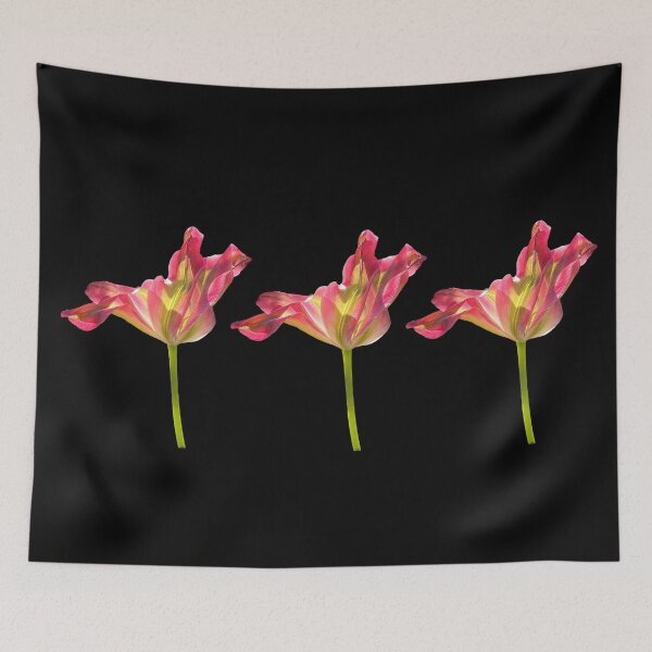Item preview, 3 tulips with black background designed and sold by Binas-gallery.