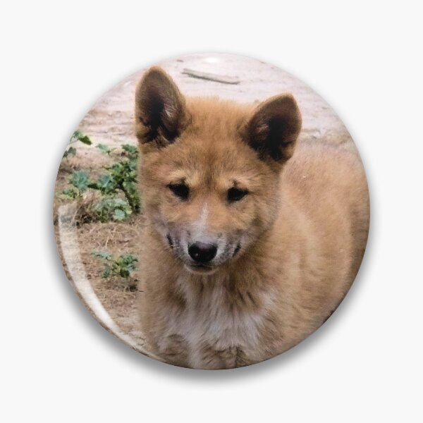 Item preview, Alpine Dingo Pup designed and sold by elsha.