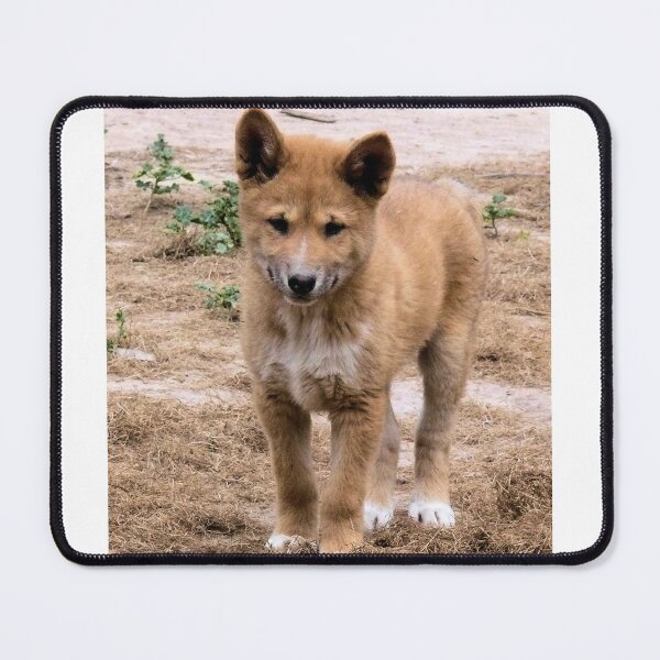 Item preview, Alpine Dingo Pup designed and sold by elsha.
