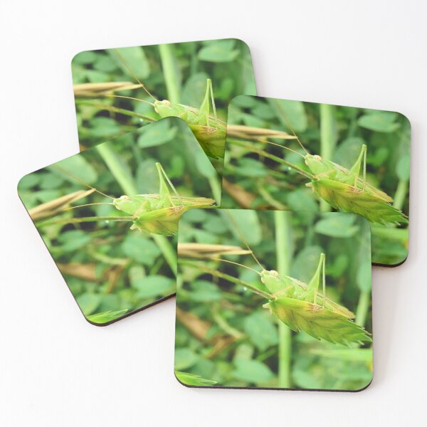 Item preview, Blending In designed and sold by elsha.