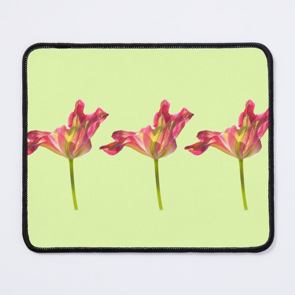 Item preview, 3 tulips with a light yellow-green background designed and sold by Binas-gallery.